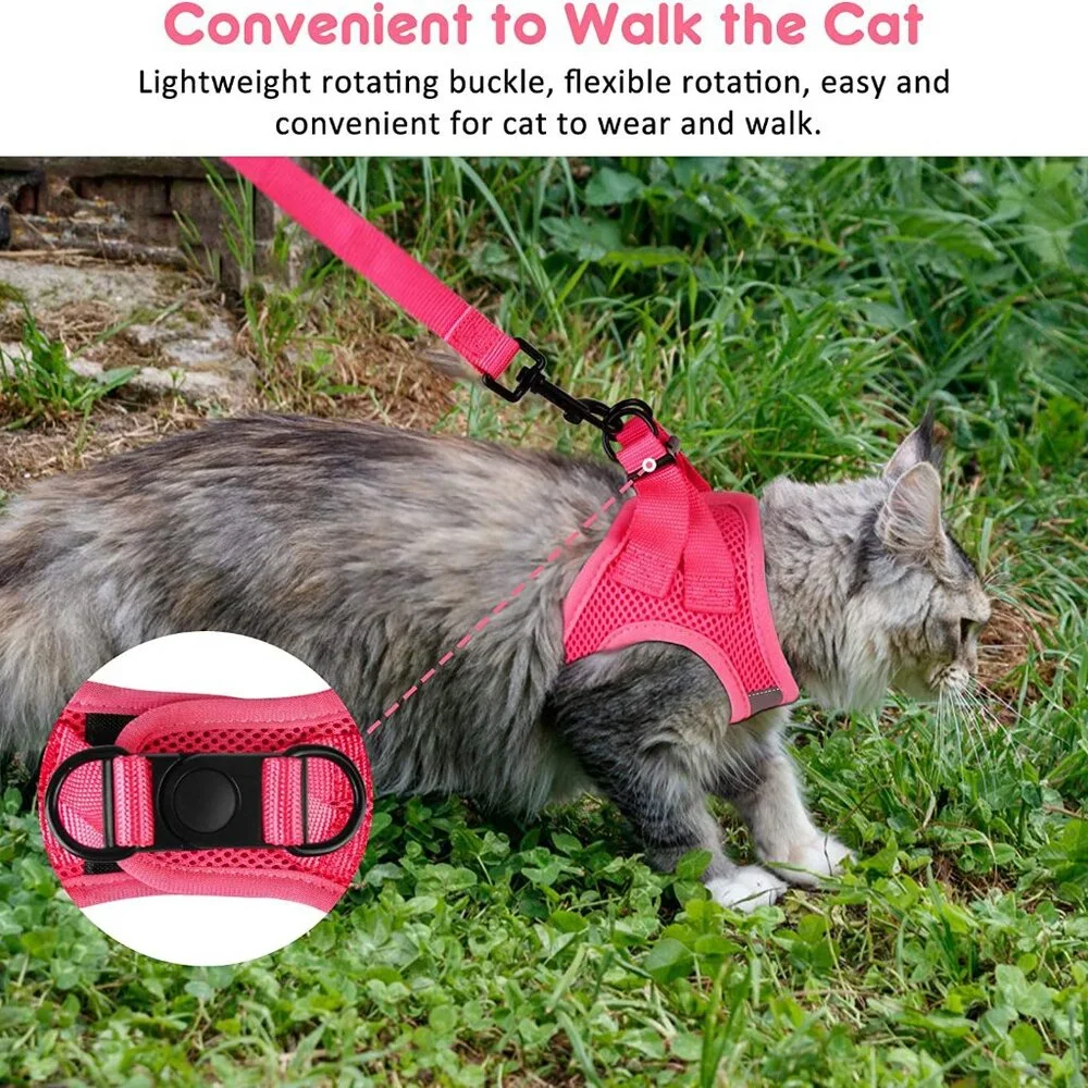 Kitten harnesses and leash set